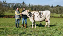 Grâce à Hiver, Éric et Nicolas Lefeuvre sont heureux et fiers de participer pour la première fois au concours de la race Normande au salon de l’agriculture.