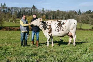 Grâce à Hiver, Éric et Nicolas Lefeuvre sont heureux et fiers de participer pour la première fois au concours de la race Normande au salon de l’agriculture.