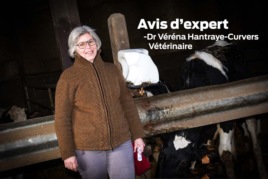 td_verena-veterinaire - Illustration Les médecines alternatives sont une solution d’avenir