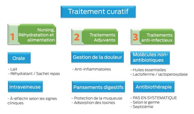 traitement-curatif-diahrree-veau