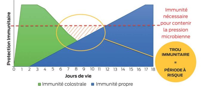 trou-immunitaire