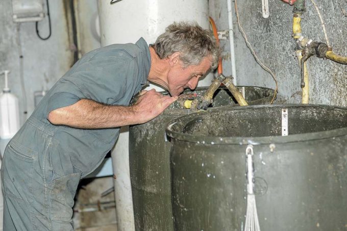 La fabrication du yaourt diffuse un parfum de fromagerie dans la laiterie. Avec l’expérience, Pascal Le Berre est alerté par l’évolution de l’odeur quand il est temps de repartir avec un yaourt frais.  