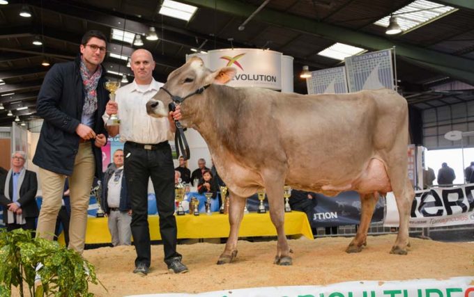 En race brune, Héroïne (EARL Grimault Robert de Brie) a gagné le championnat.