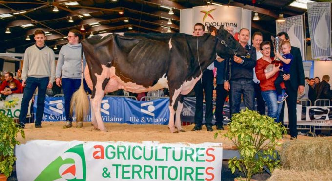 Moment de bonheur pour Pom Hailey et ses propriétaires, à l’issue du concours départemental Prim’Holstein.