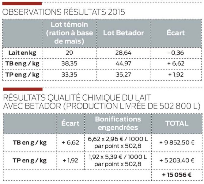 betterave-resultat