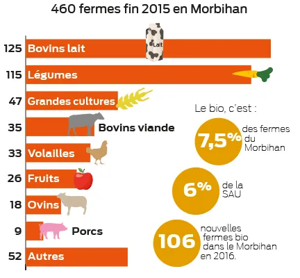 bio-morbihan