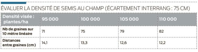 densite-semis-mais