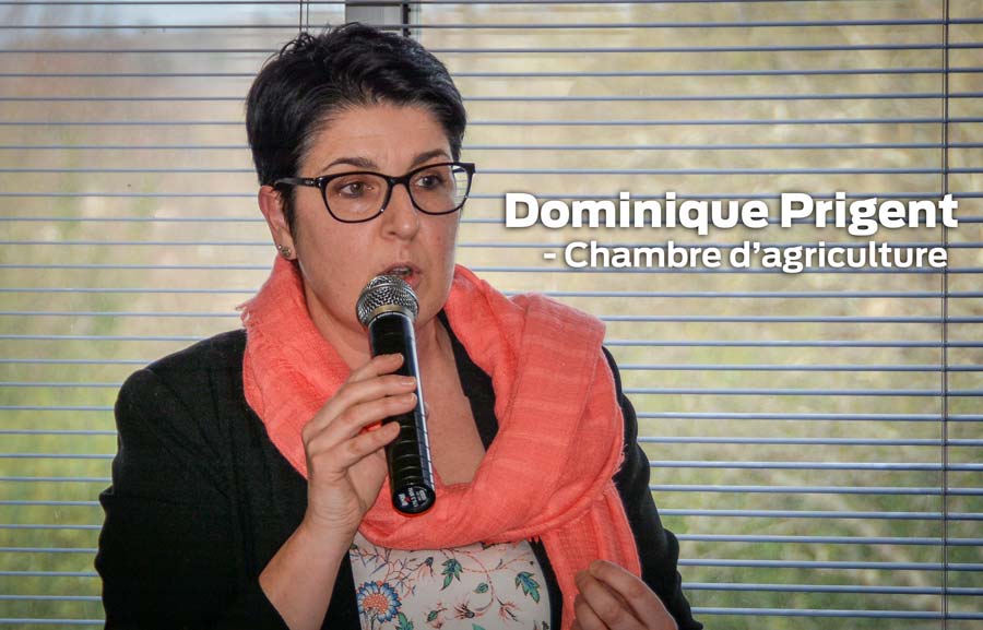 dominique-prigent - Illustration La production laitière au cœur des débats