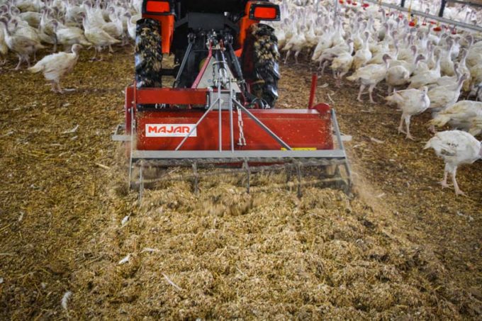 L’aviculteur utilise un micro-tracteur et un rota pour mélanger la litière dès qu’elle commence à croûter.