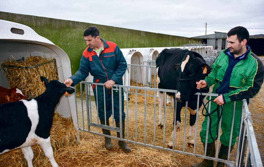 pascal-prigent-agri-deiz - Illustration Agri Deiz : la famille Prigent concourt depuis 3 générations