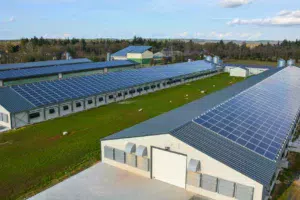 Les bâtiments sont couverts de panneaux photovoltaïques, au total la puissance installée est de 670 kWc.