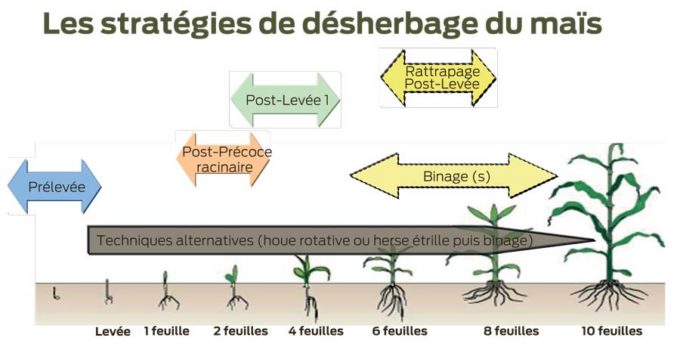 programme-desherbage-mais-Bzh-2017