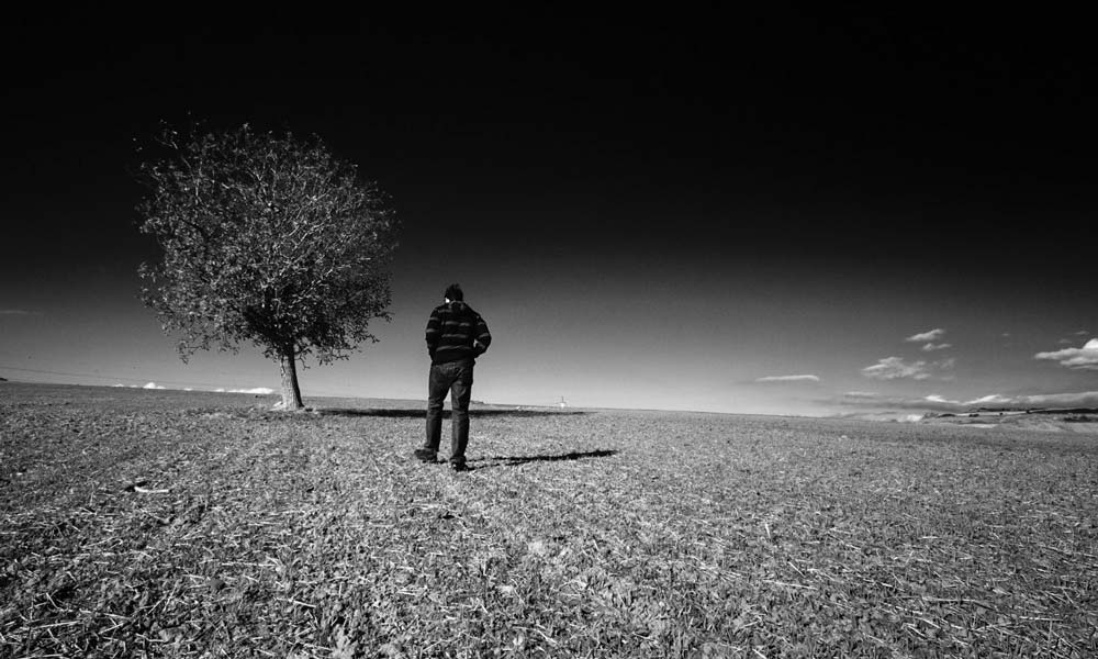 solitude-suicide - Illustration Suicide des agriculteurs : le Sénat a décidé de renvoyer en commission la proposition de loi