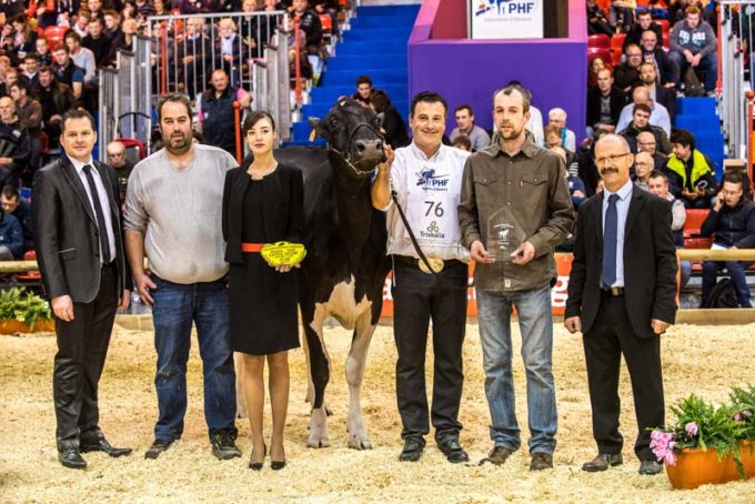 Yorickroxy, championne jeune, au Gaec Toullec à Plomelin (29).