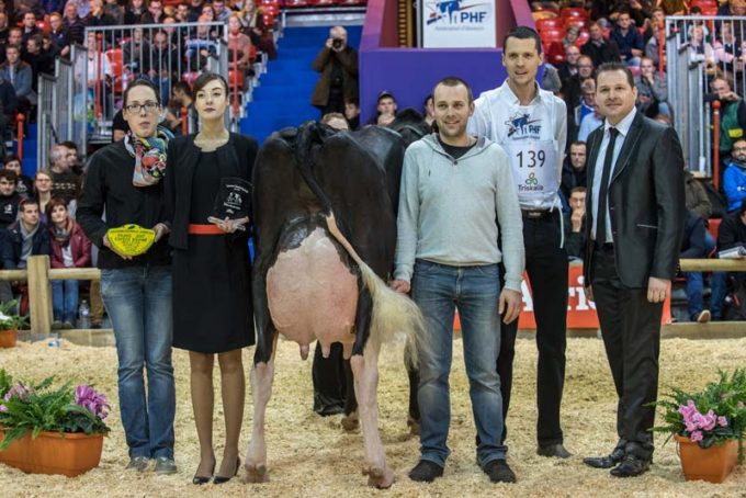 Dream, au Gaec Michard au Cambout (22), sacrée Meilleure mamelle adulte. 