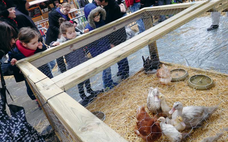 Fermeenville20160326 - Illustration Ce samedi, les Jeunes Agriculteurs installent leur Ferme en Ville