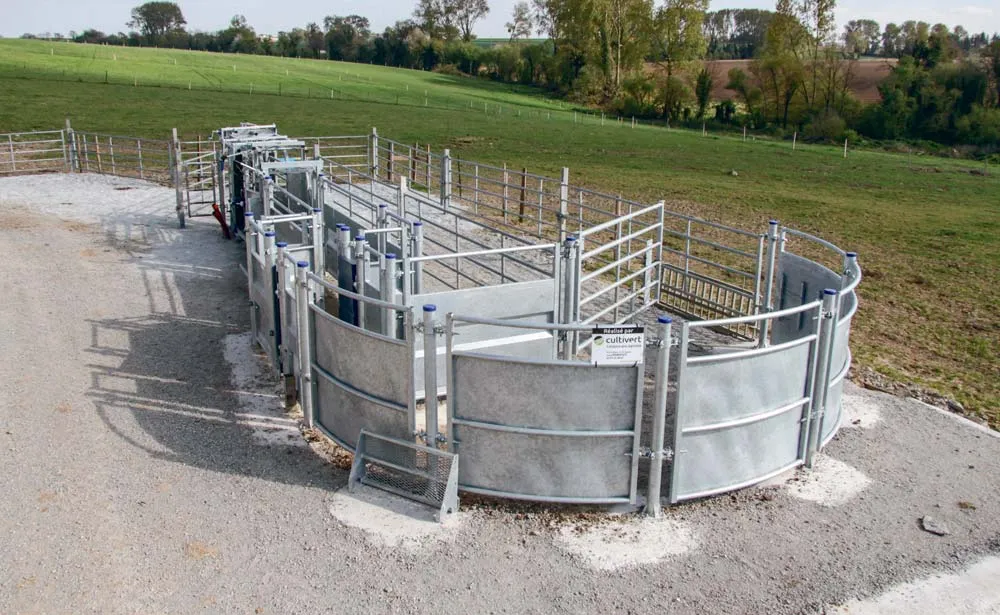 L’outil de contention Pasdelou s’adapte au gabarit de chaque animal et peut être utilisé en toute sécurité par une personne seule. - Illustration Lycée Kerlebost : l&rsquo;atelier bovin viande fait peau neuve