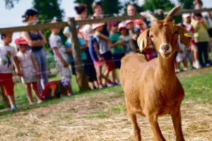 Porte_ouverte_2017_La_ferme_de_kemo