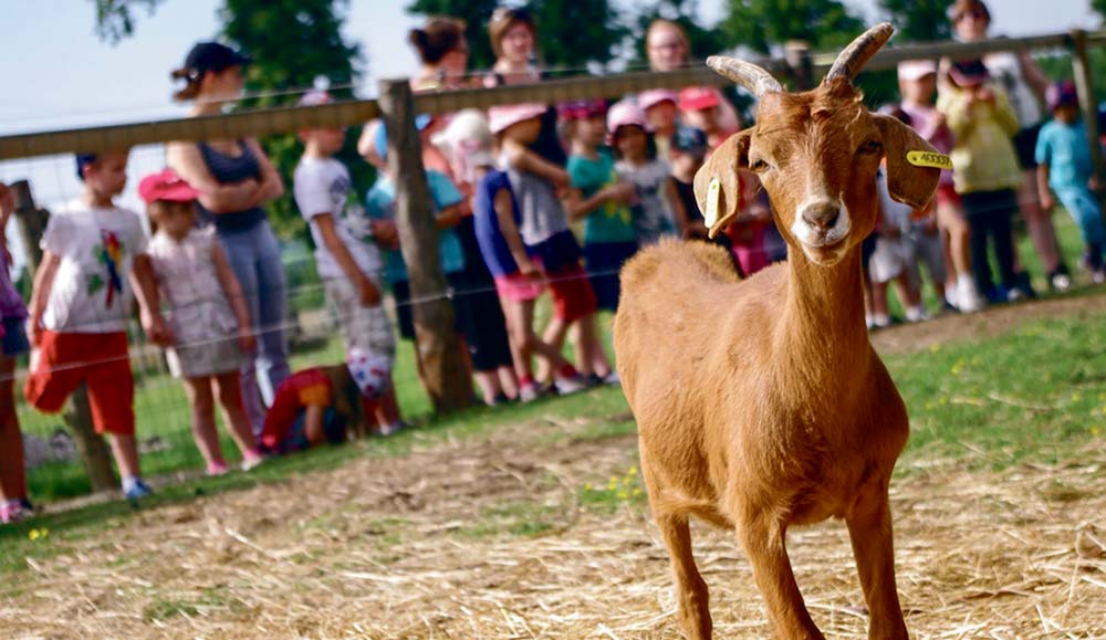 Porte_ouverte_2017_La_ferme_de_kemo - Illustration Printemps à la ferme : “Qui a volé l’œuf ?”, enquête policière pour découvrir les animaux