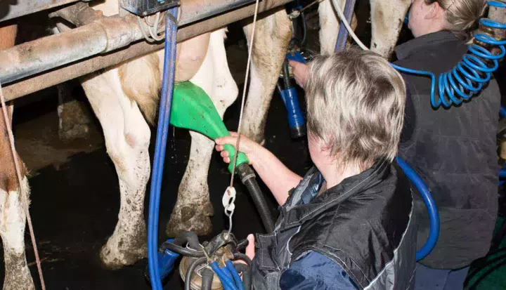 brosse-rotative-hygiene-traite-lait