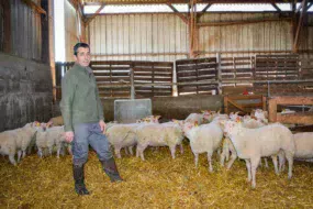 Dominique Maraquin et ses agneaux nés en décembre, destinés au marché de Pâques.