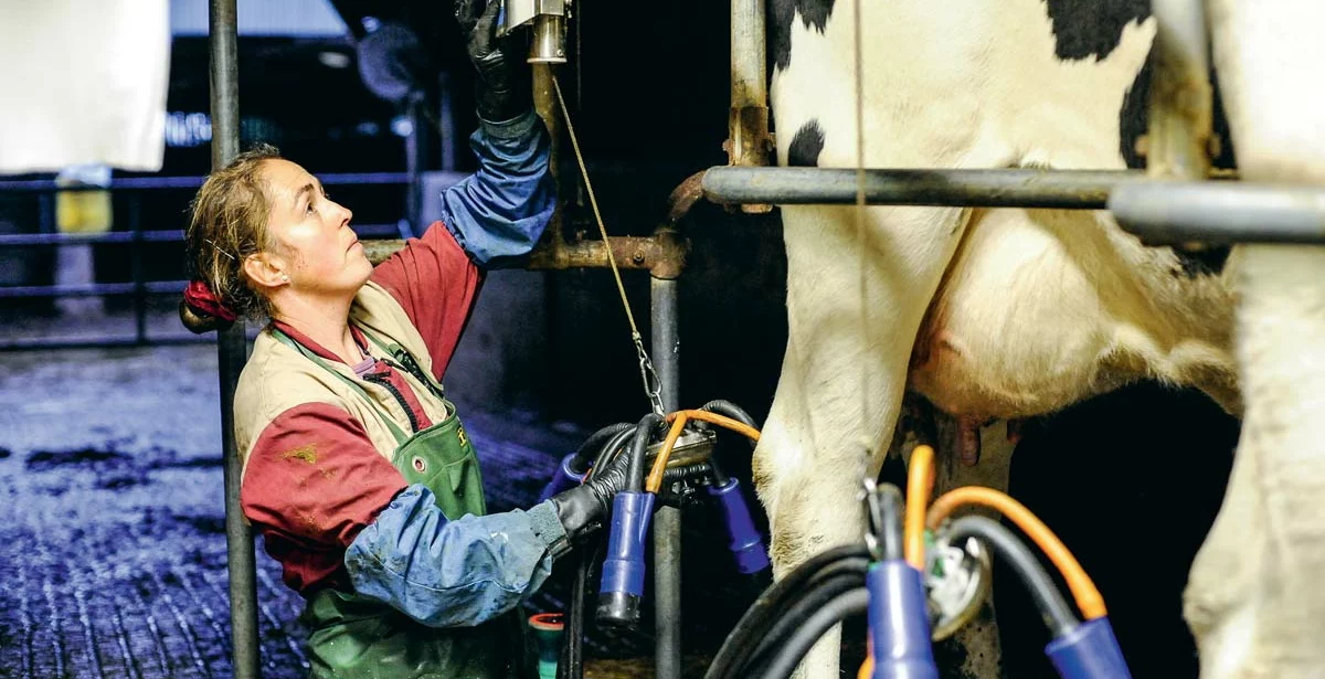 dossier-traite-lait - Illustration L’emploi, le nouveau challenge de l’agriculture
