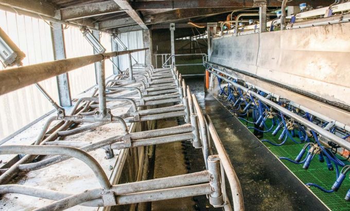 À gauche, on observe comment les murs ont été découpés pour que les vaches puissent passer leurs encolures en se plaçant sur le quai perpendiculairement à la fosse. 