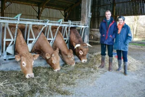 Anne-France et Patrick de Dieuleveult développent la vente directe de viande bovine depuis 2004.