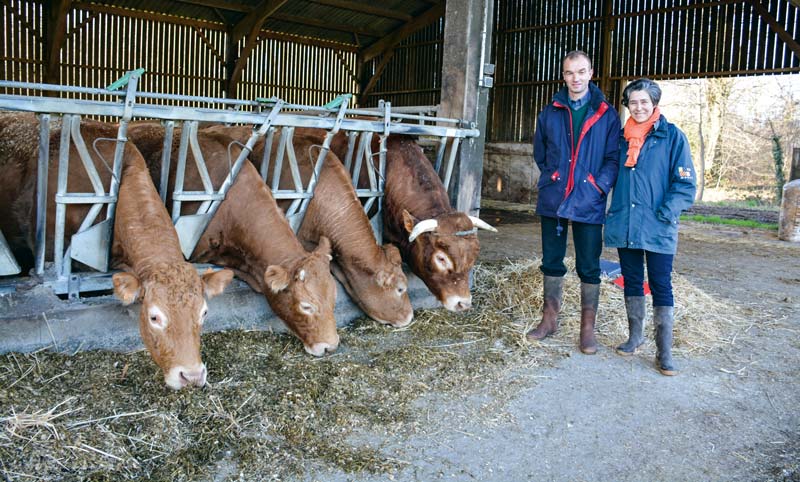 Anne-France et Patrick de Dieuleveult développent la vente directe de viande bovine depuis 2004. - Illustration Viande bovine : ils vendent plus de 80% des femelles en direct