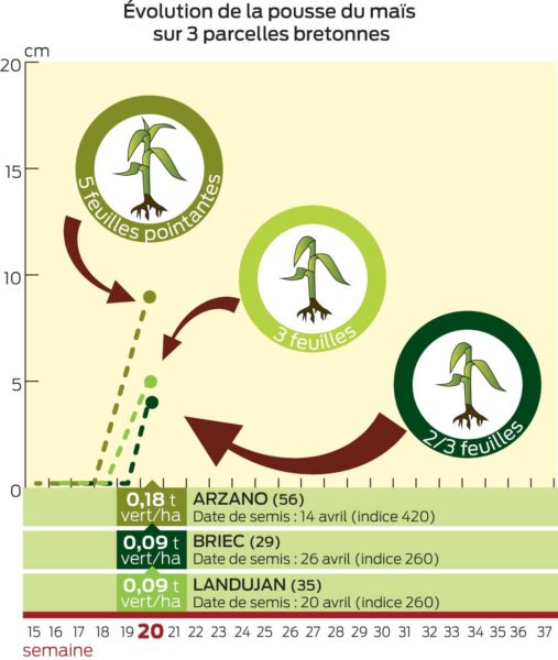 GRAPH-EVOLUTION-MAIS