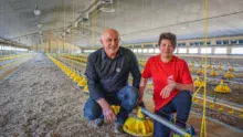 Jean-Claude et Monique Chasseboeuf, aviculteurs à Gomené (22).