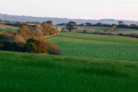 Haies, mares, bosquets, bâtiments et autres Surfaces non agricoles (SNA) issues de l’instruction Pac 2016 seront désormais visibles dans une couche graphique dédiée.