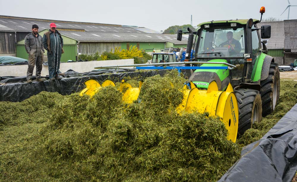 Le rouleau répartiteur de chez Reck pousse et étale de façon homogène le fourrage. - Illustration L’ensilage de luzerne a de la répartie