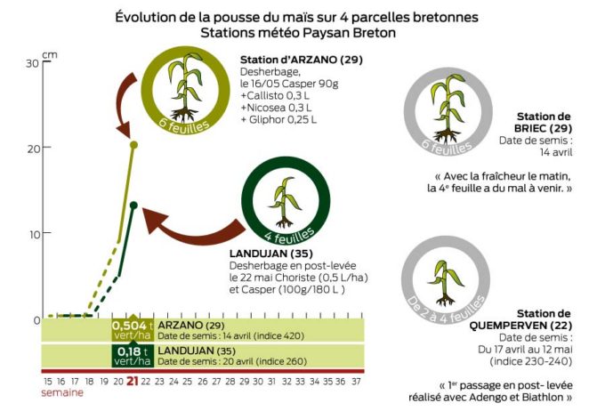 evolution-mais