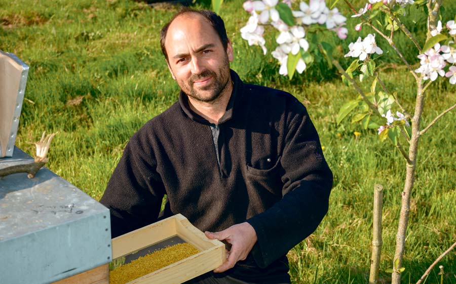 Mathieu Audo présente la production de pollen frais de l'une des ruches, à Saint-Jean Brévelay (56). - Illustration Mathieu Audo produit du miel en transhumance