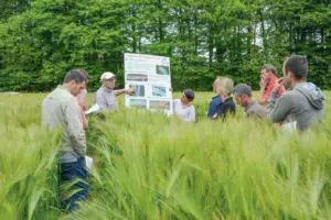 orge-chambre-agri