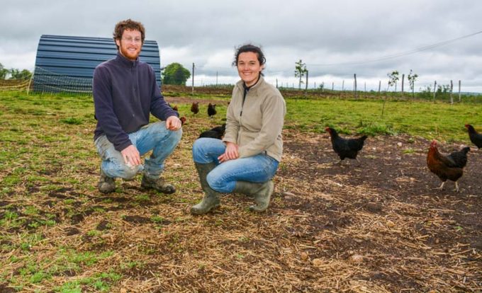 Clément Le Heritte et Séveryne Mouille, aviculteurs bio à Plouay possèdent aussi quelques pondeuses pour répondre à la demande en œufs bio de leurs clients.