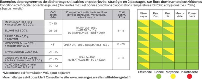 programme-desherbage-mais