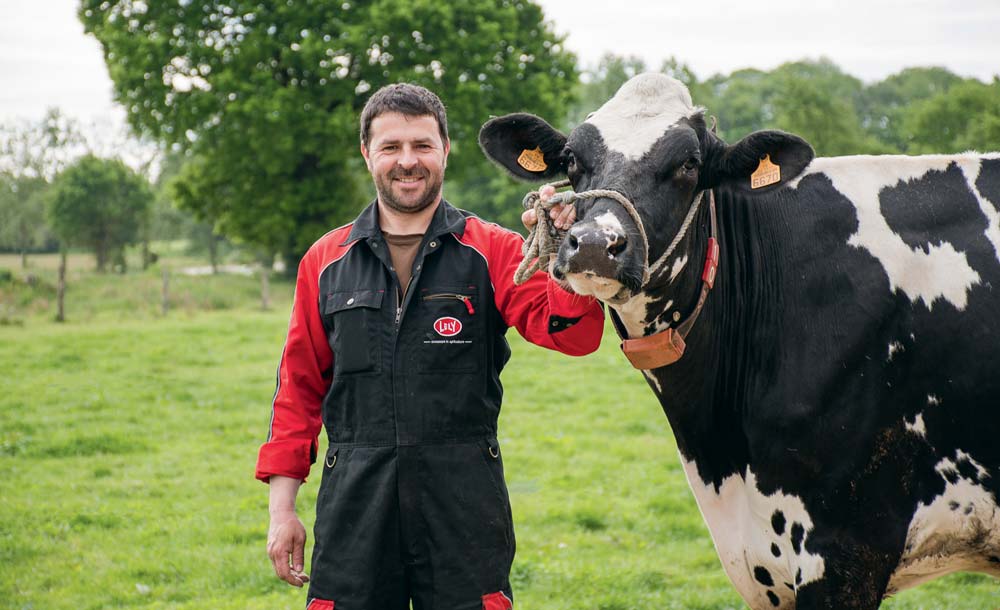 Samuel Morin et Ibiza s’apprêtent à fouler le rng du concours régional Prim’Holstein ce samedi au salon des Terralies à Saint-Brieuc. - Illustration Concours Prim’Hosltein : au carrefour des plus belles vaches bretonnes