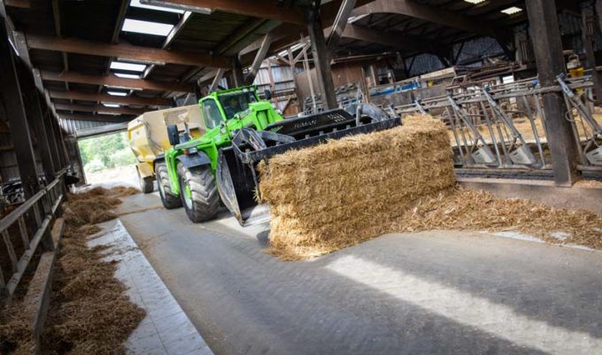 L’éleveur pousse les refus avec un big de paille en même temps qu’il distribue la ration.