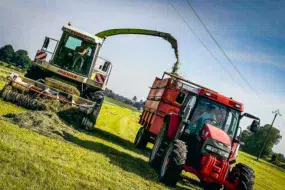 ensilage-herbe-ligne-electrique