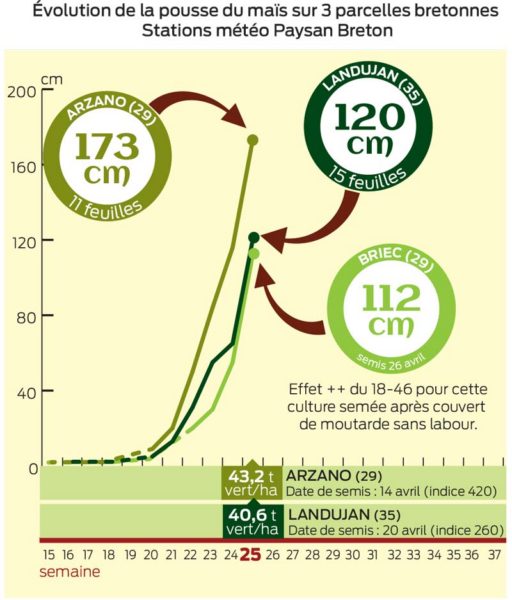 evolution-pousse-mais-23-06-17