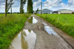 Les 4 km de chemin sont un gros point fort de l’exploitation.