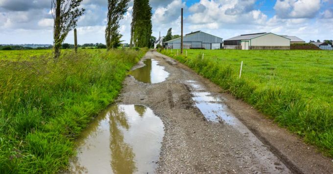 Les 4 km de chemin sont un gros point fort de l’exploitation.