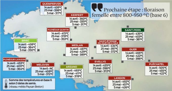 meteo-pousse-mais