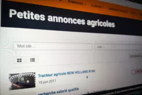 petites-annonces-agricoles-paysan-breton