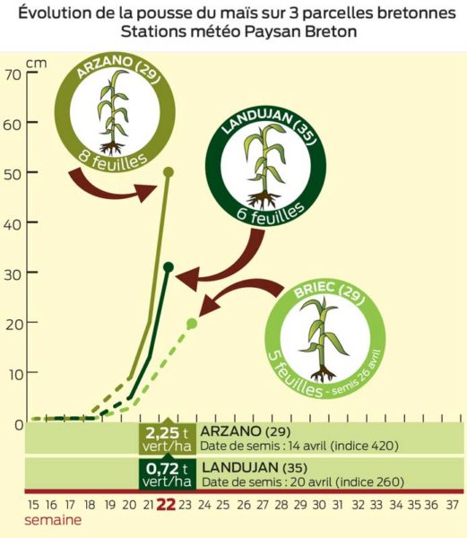 pousse-mais-bzh