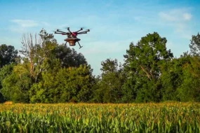 Drone effectuant la lutte biologique contre la pyrale par épandage de trichogramme sur une parcelle de maïs.