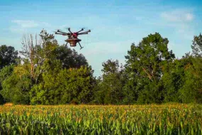 Drone effectuant la lutte biologique contre la pyrale par épandage de trichogramme sur une parcelle de maïs.