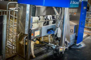 robot traite delaval